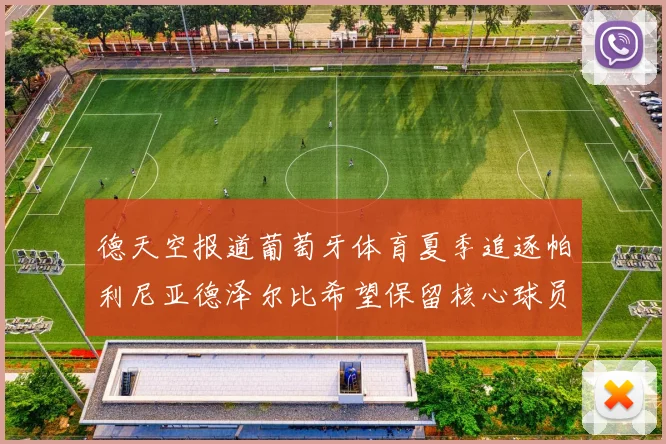 德天空报道葡萄牙体育夏季追逐帕利尼亚德泽尔比希望保留核心球员